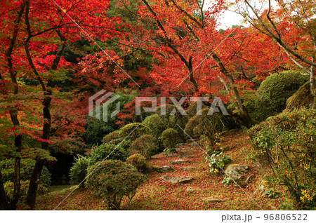 紅葉期の九年庵 96806522