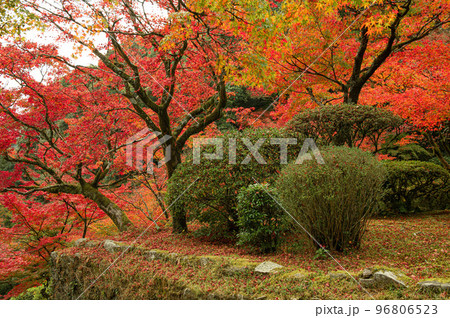 紅葉期の九年庵 96806523