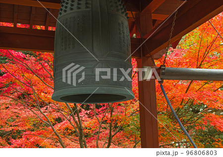 紅葉期の仁比山地蔵院 96806803