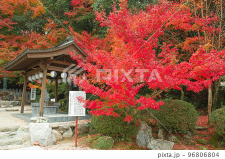 紅葉期の仁比山地蔵院 96806804