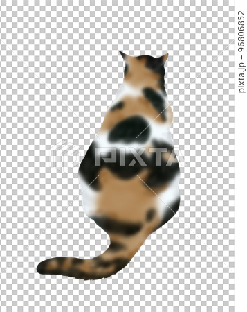 三色貓背影① 三色貓背影① 96806852