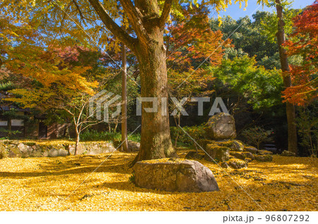 清水寺（福岡県みやま市）の本坊庭園 96807292