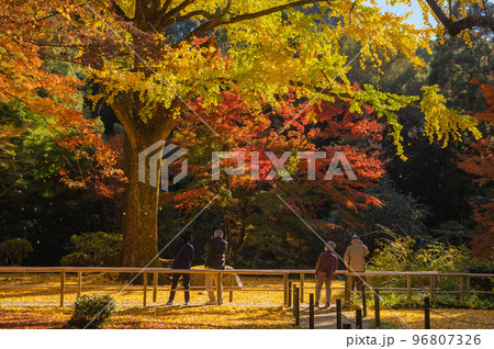 清水寺（福岡県みやま市）の本坊庭園 96807326