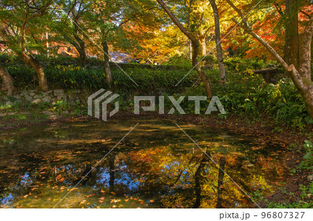 清水寺（福岡県みやま市）の本坊庭園 96807327