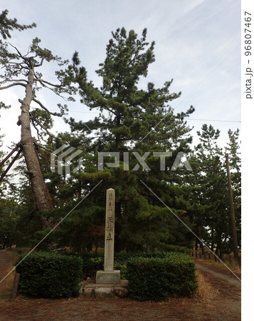 京都府北部の宮津市、日本海の宮津湾にあり、日本三景と言われている特別名勝の天橋立（あまのはしだて） 96807467
