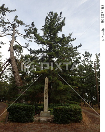 京都府北部の宮津市、日本海の宮津湾にあり、日本三景と言われている特別名勝の天橋立（あまのはしだて） 96807468