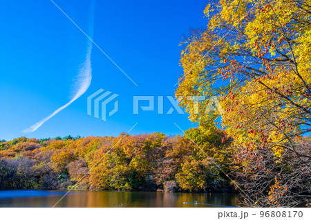 森林公園の秋 96808170