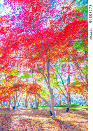 森林公園の秋 96808178