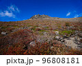 岩肌に生える紅葉した植物と頂にある岩の塊 96808181
