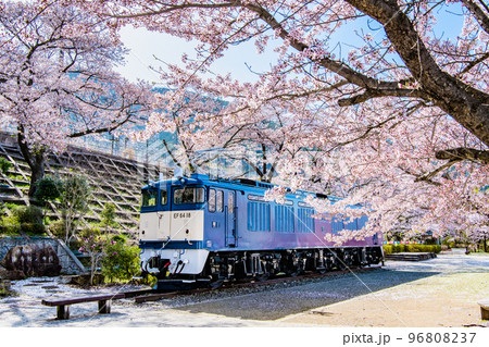 山梨県 甚六桜　～甚六公園の電気機関車～ 96808237