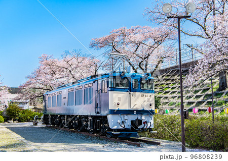 山梨県 甚六桜　～甚六公園の電気機関車～ 96808239