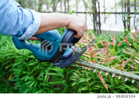 Gardener trimming bush by electric hedge clippers in garden. Hobby at home. Gardener trimming bush by electric hedge clippers in garden. Hobby at home. 96808504
