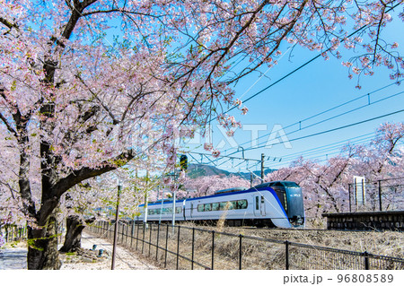 山梨県 甚六桜 ~勝沼ぶどう郷駅を通過する特急あずさ~ 山梨県 甚六桜 ~勝沼ぶどう郷駅を通過する特急あずさ~ 96808589