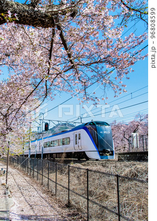 山梨県 甚六桜　～勝沼ぶどう郷駅を通過する特急あずさ～ 96808599