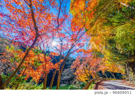 鎌北湖の紅葉 96809051