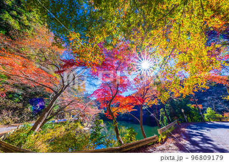 鎌北湖の紅葉 鎌北湖の紅葉 96809179