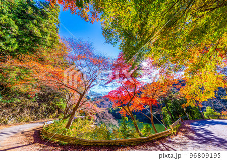 鎌北湖の紅葉 鎌北湖の紅葉 96809195