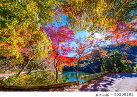 鎌北湖の紅葉 鎌北湖の紅葉 96809198
