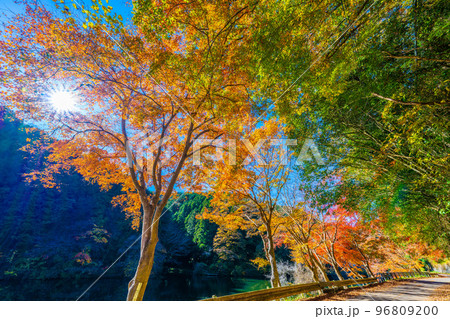 鎌北湖の紅葉 鎌北湖の紅葉 96809200
