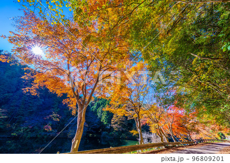 鎌北湖の紅葉 96809201