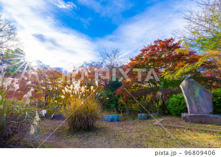 嵐山渓谷の紅葉 96809406