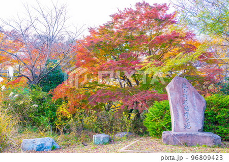 嵐山渓谷の紅葉 96809423