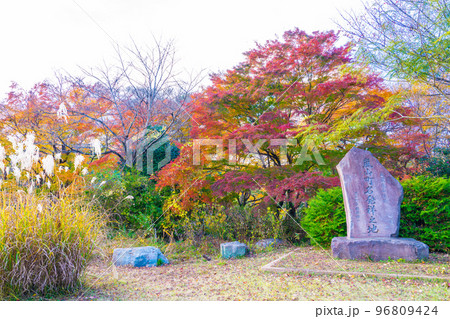 嵐山渓谷の紅葉 嵐山渓谷の紅葉 96809424