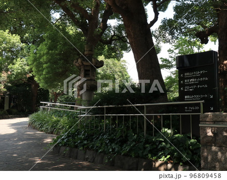 東京都品川区北品川の御殿山庭園の風景 東京都品川区北品川の御殿山庭園の風景 96809458