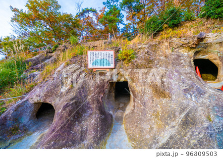 吉見百穴の秋 96809503