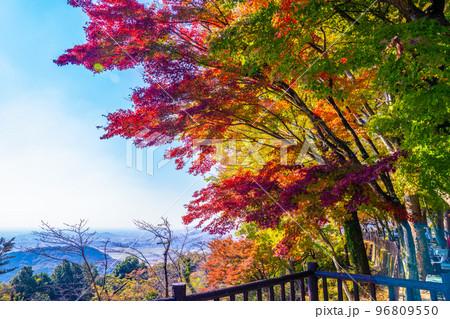 栃木太平山の秋 栃木太平山の秋 96809550