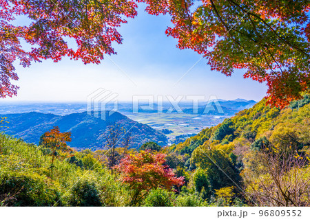 栃木太平山の秋 96809552
