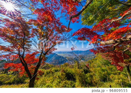 栃木太平山の秋 栃木太平山の秋 96809555