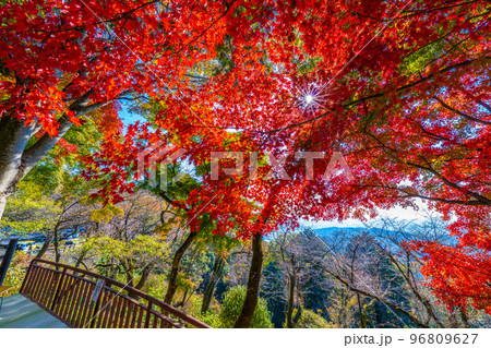 栃木太平山の秋 栃木太平山の秋 96809627