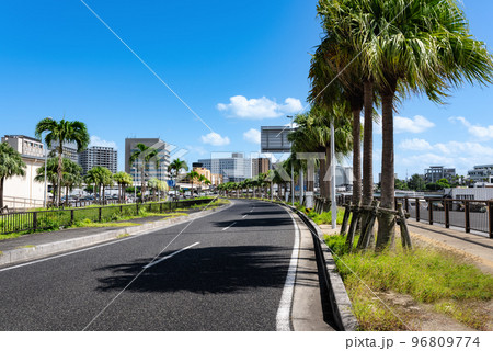 沖縄那覇港付近のヤシの木並木 沖縄那覇港付近のヤシの木並木 96809774