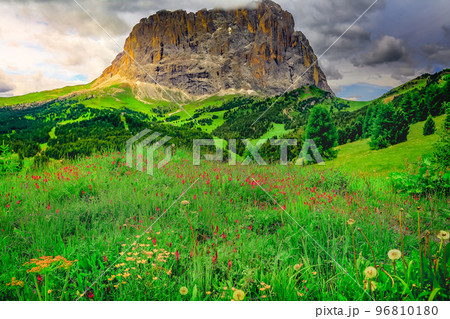 Langkofel, Sassolungo pinnacles, Dolomites sudtirol near Cortina d Ampezzo Langkofel, Sassolungo pinnacles, Dolomites sudtirol near Cortina d Ampezzo 96810180