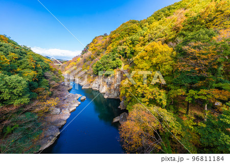 高津戸峡の紅葉 96811184