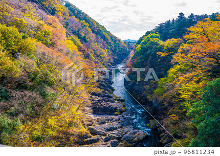 高津戸峡の紅葉 高津戸峡の紅葉 96811234