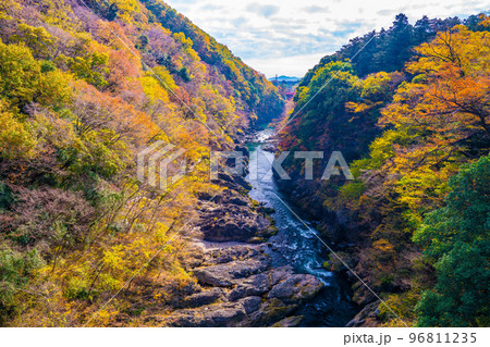 高津戸峡の紅葉 高津戸峡の紅葉 96811235