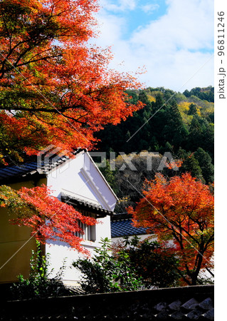 紅葉の足助町香嵐渓 96811246
