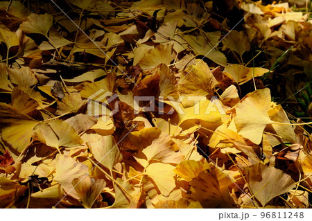 紅葉の足助町香嵐渓 96811248