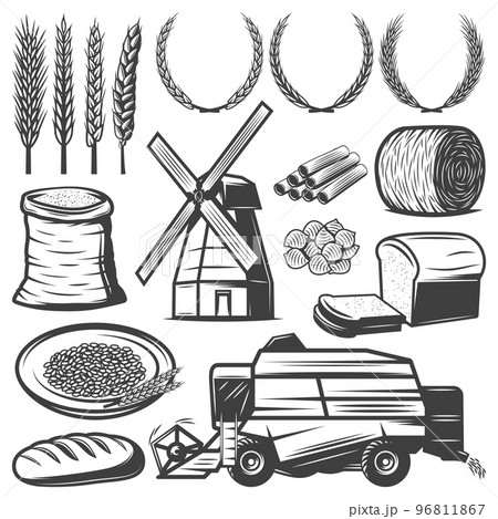 Vintage Agriculture Elements Set Vintage Agriculture Elements Set 96811867