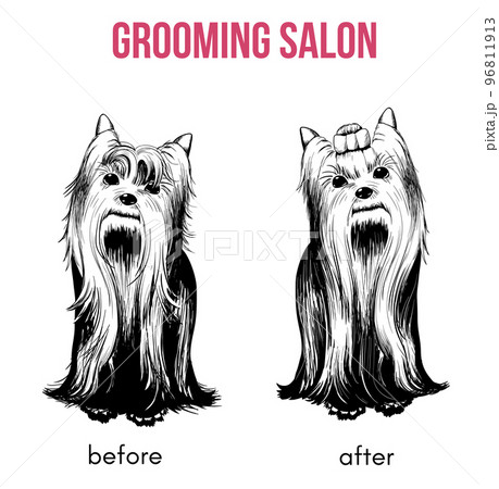 Beauty Dog Salon Template 96811913