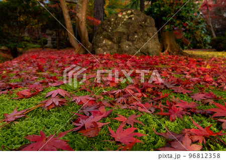 晩秋の風景 96812358