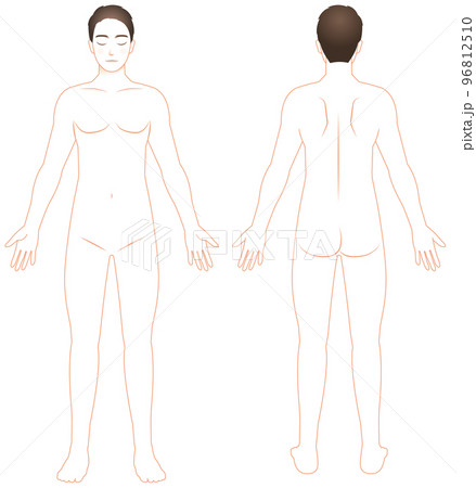 男性の裸体全身図 正面と背面オレンジ線画 イラスト 脱毛/エステ/ダイエット 男性の裸体全身図 正面と背面オレンジ線画 イラスト 脱毛/エステ/ダイエット 96812510