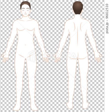 男性の裸体全身図 正面と背面オレンジ線画 イラスト 脱毛/エステ/ダイエット 男性の裸体全身図 正面と背面オレンジ線画 イラスト 脱毛/エステ/ダイエット 96812510