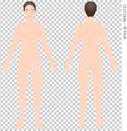 Male nude whole body figure Front and back illustration Hair removal / Esthetic / Diet Male nude whole body figure Front and back illustration Hair removal / Esthetic / Diet 96812512