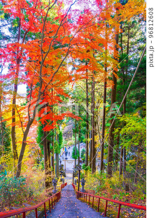 妙義山の秋　中之嶽神社 96812608