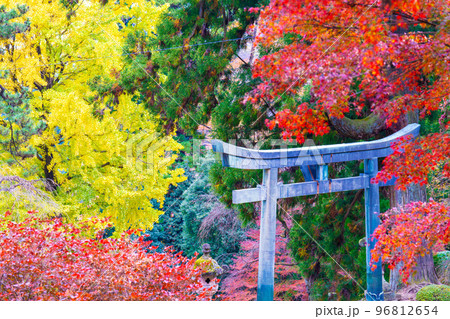妙義山の秋　中之嶽神社 96812654