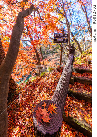 諏訪峡の秋 96812792