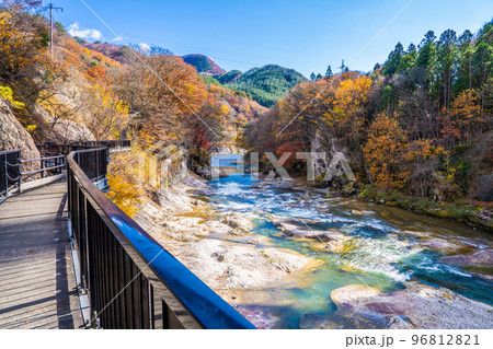 諏訪峡の秋 96812821